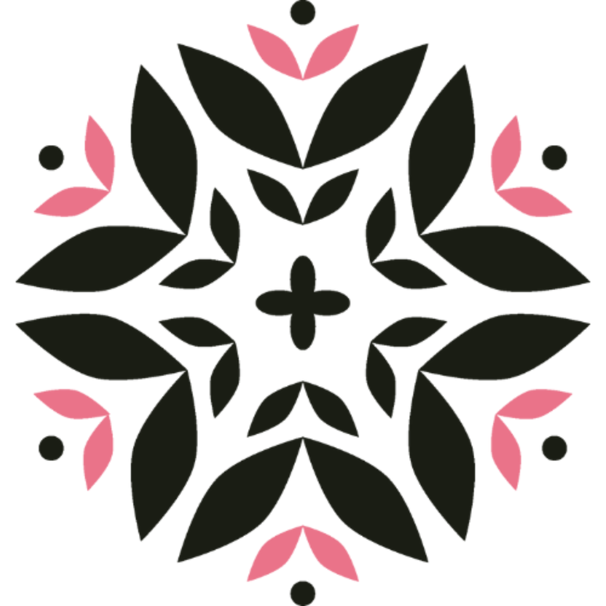 Agnieszka Drożniak – Akademia Urodowej Transformacji